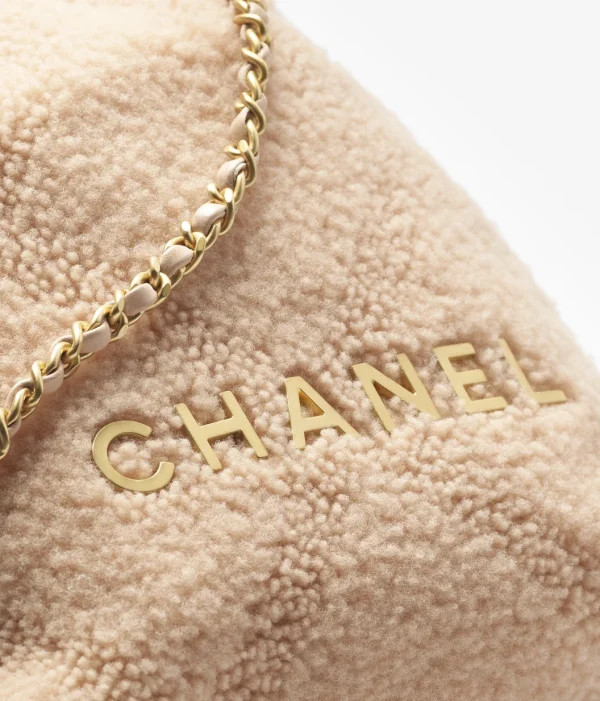 CHANEL 22 Mini Handbag   Shearling Lambskin & Gold-Tone Metal  Light Pink - Image 4